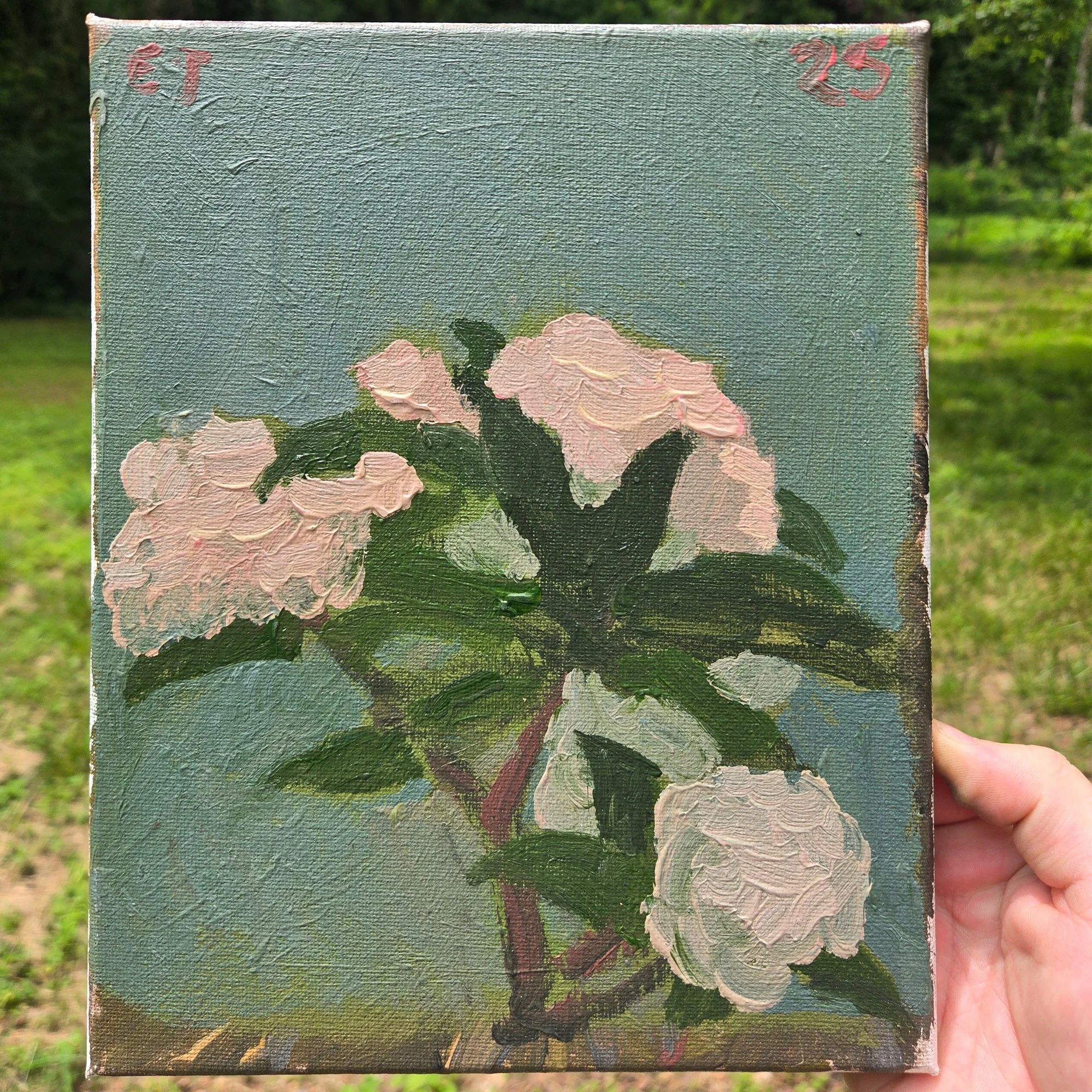 flowerspreview1.jpg