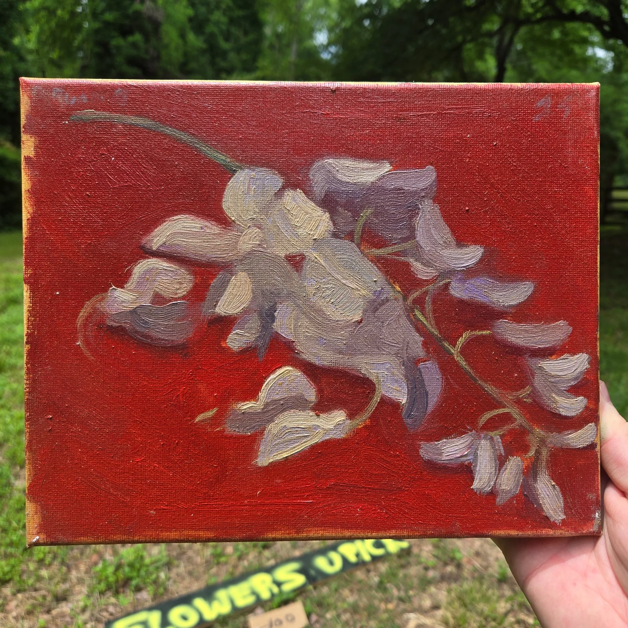 flowerspreview12.jpg