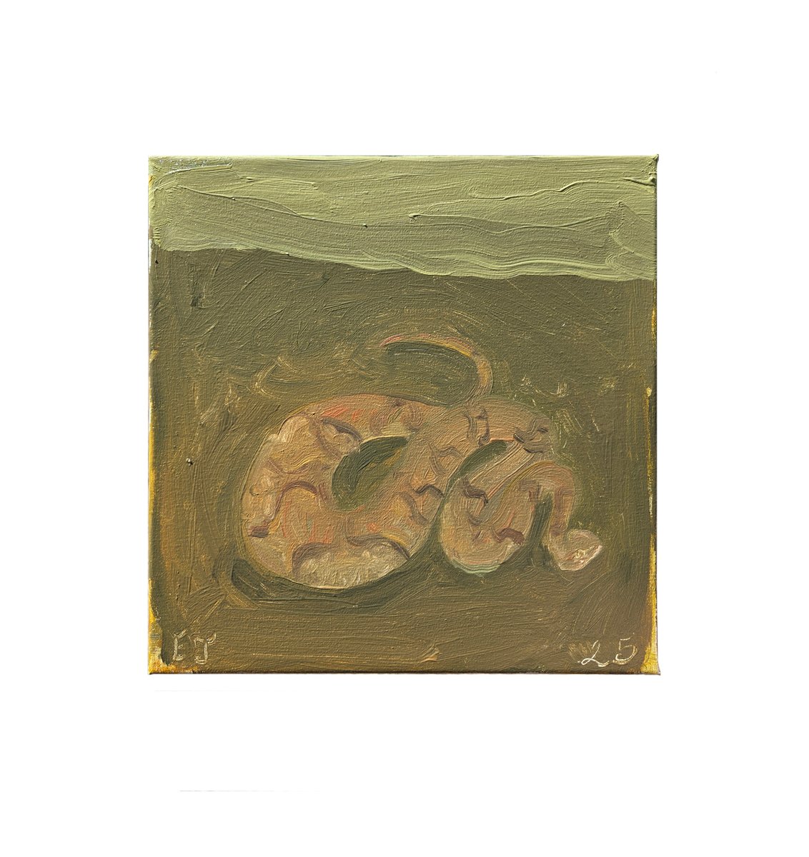 copperhead.jpg