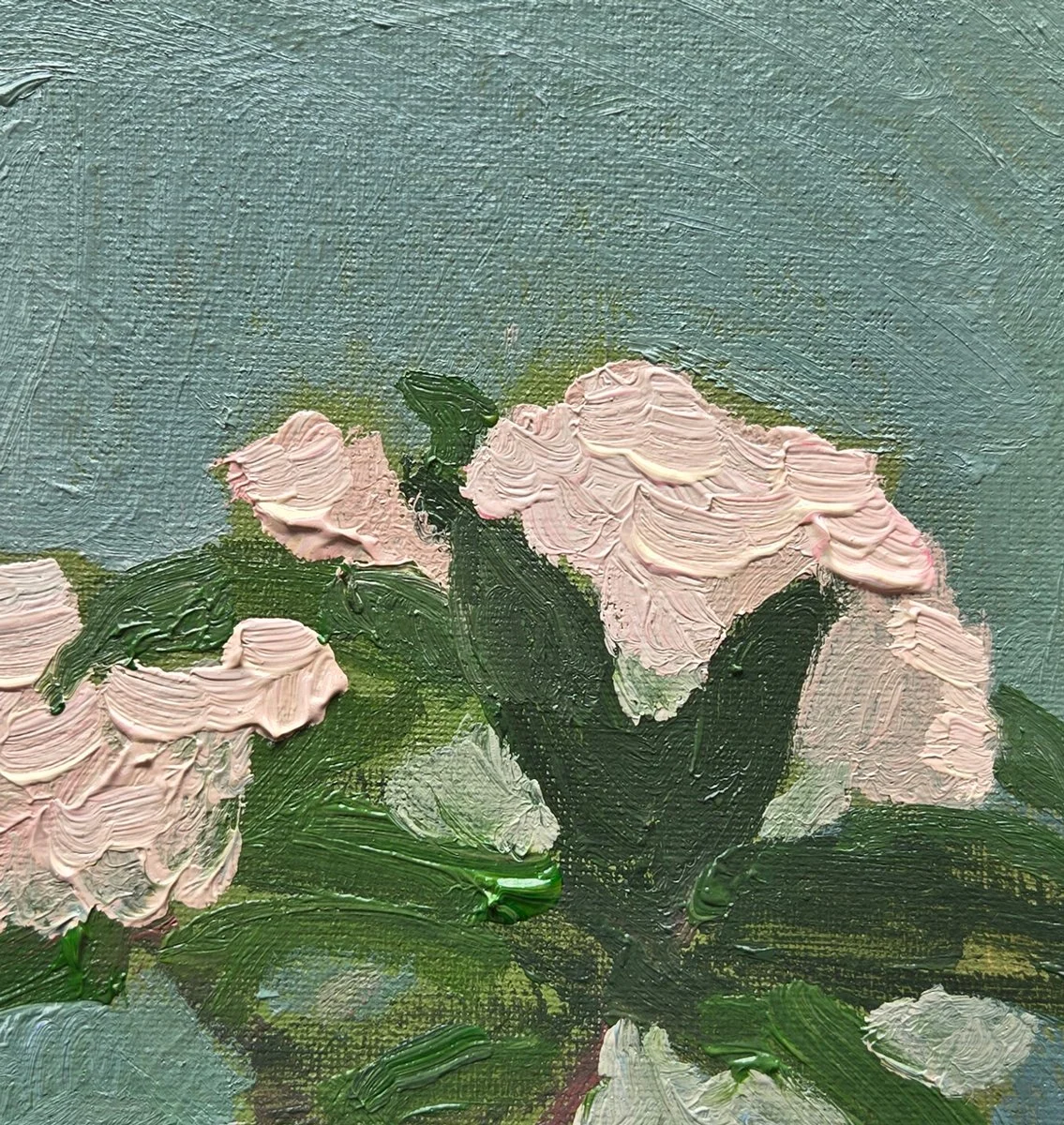 mountain-laurel-detail.jpg