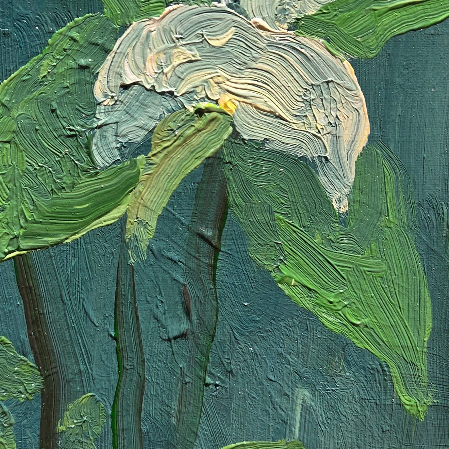 trilliumdetail3.jpg