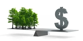 As a result of the environmental steps taken at Cafe de Boston, we expect the following savings annually
