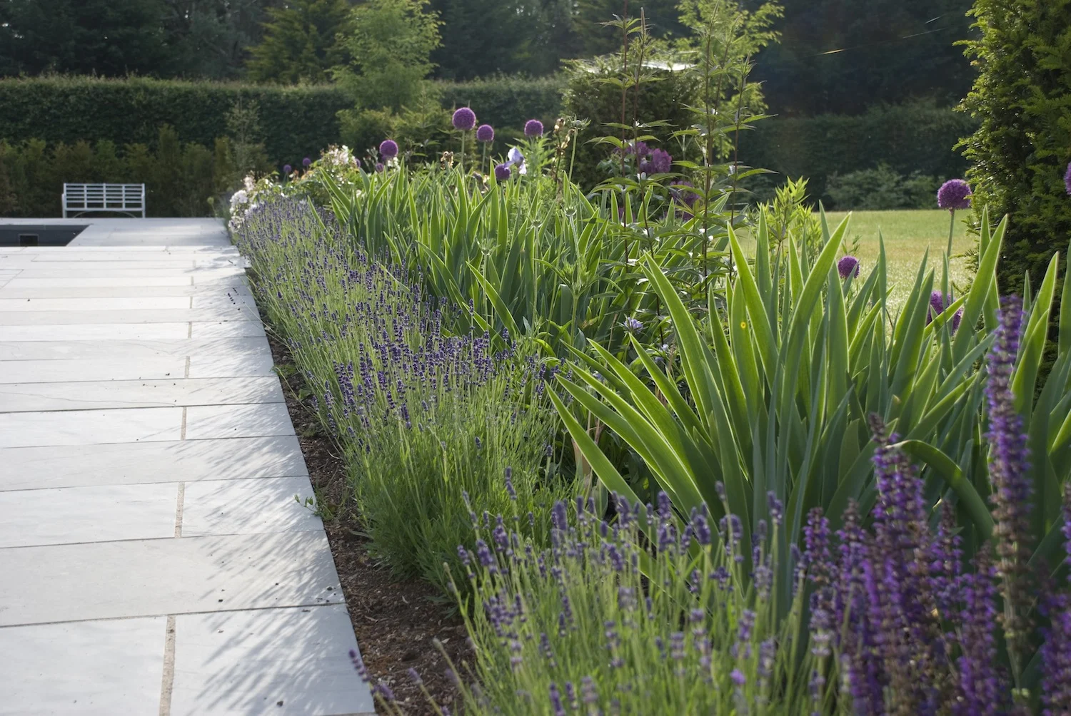 9g Sandridge East garden.JPG