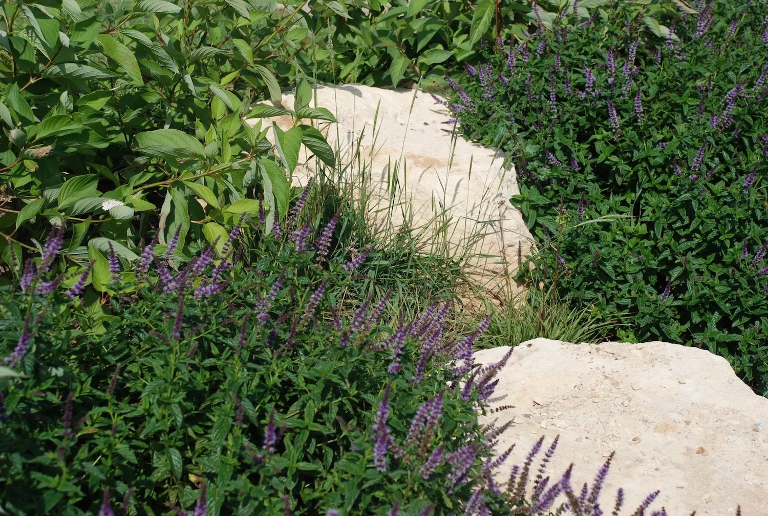 Play area, Shipton under Wychwood