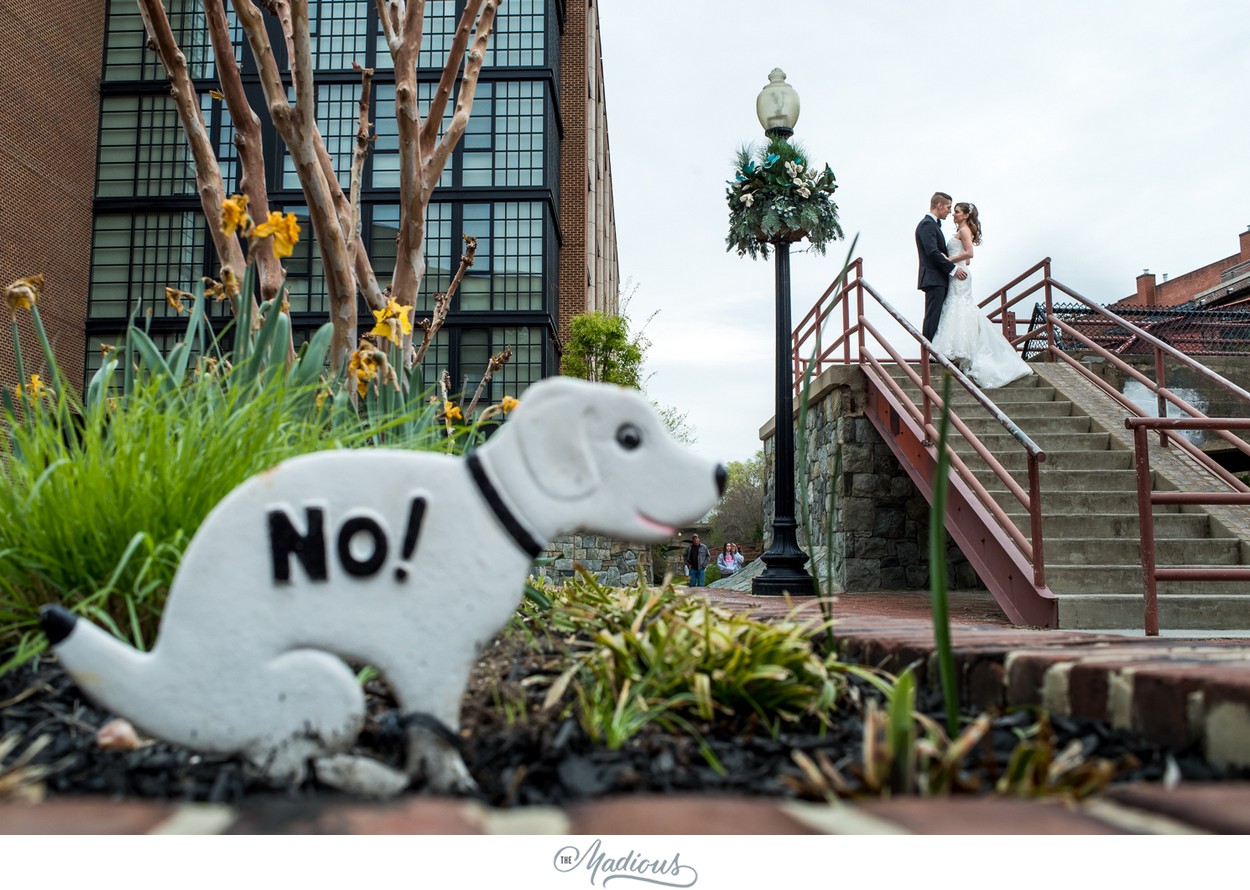 Malmaison_DC_Spring_Wedding_18.jpg