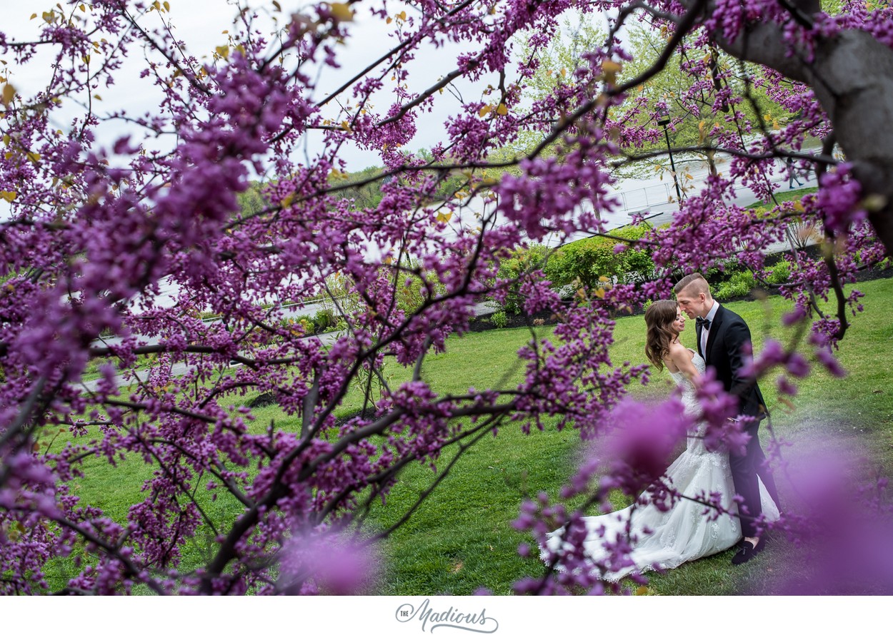 Malmaison DC wedding