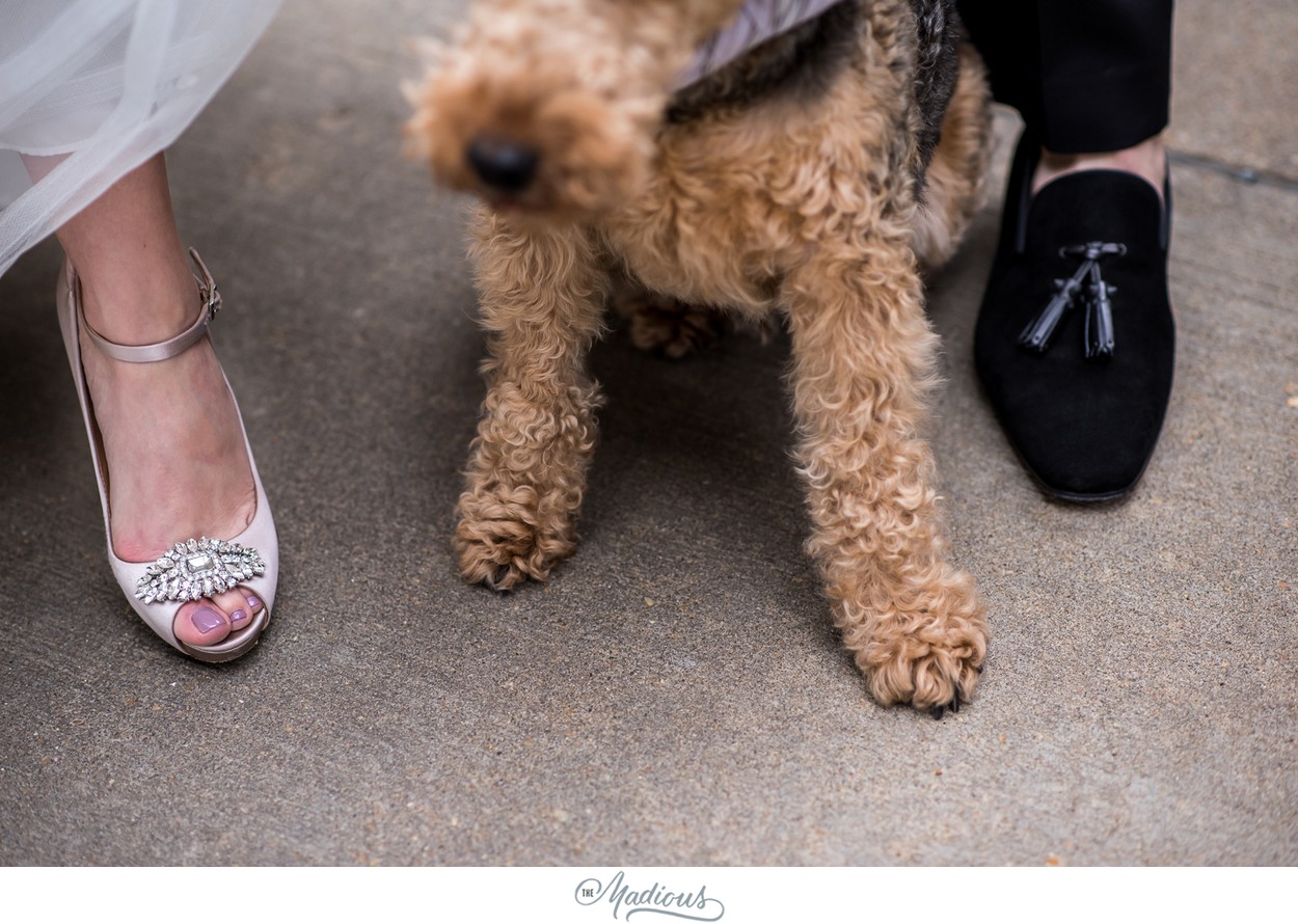 Malmaison_DC_Spring_Wedding_22.jpg