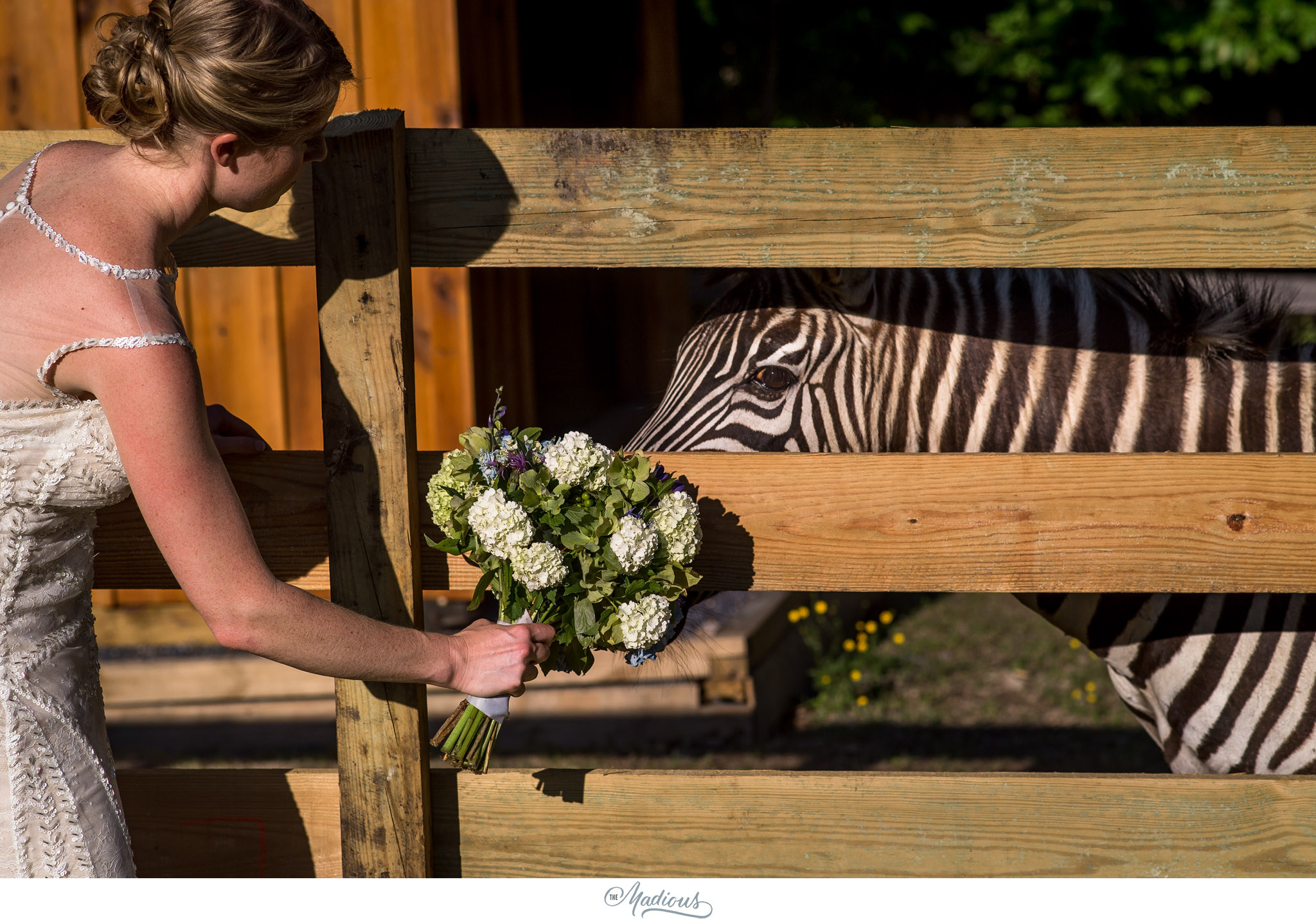 melissa dan rockland farms wedding_0068.JPG