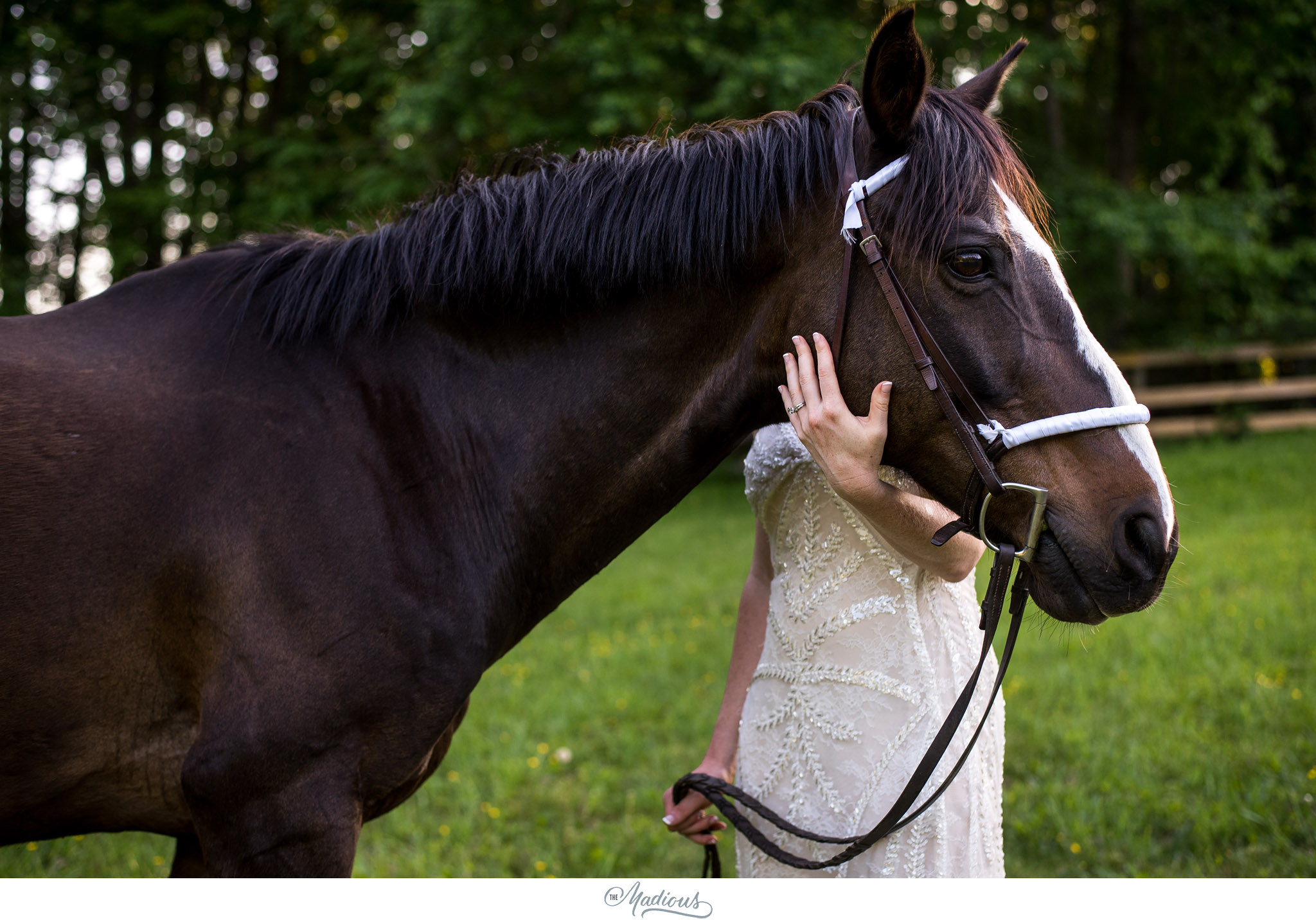 melissa dan rockland farms wedding_0075.JPG