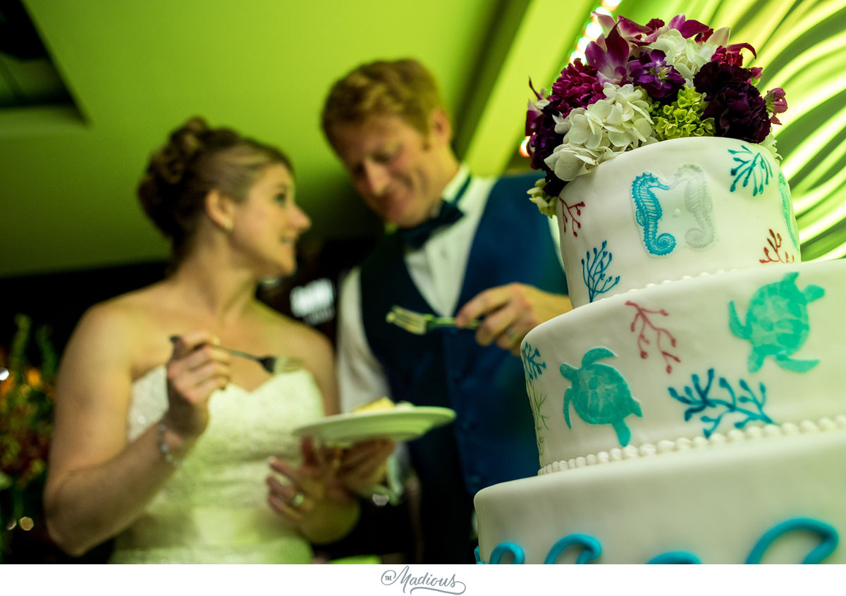 Baltimore Aquarium wedding_0129.jpg