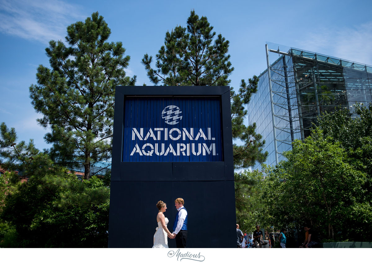 Baltimore Aquarium wedding_0034.jpg