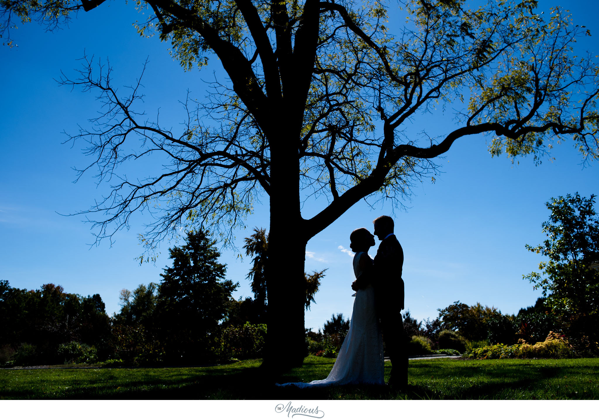Cylburn Arboretum wedding photojournalism bride groom silhouette