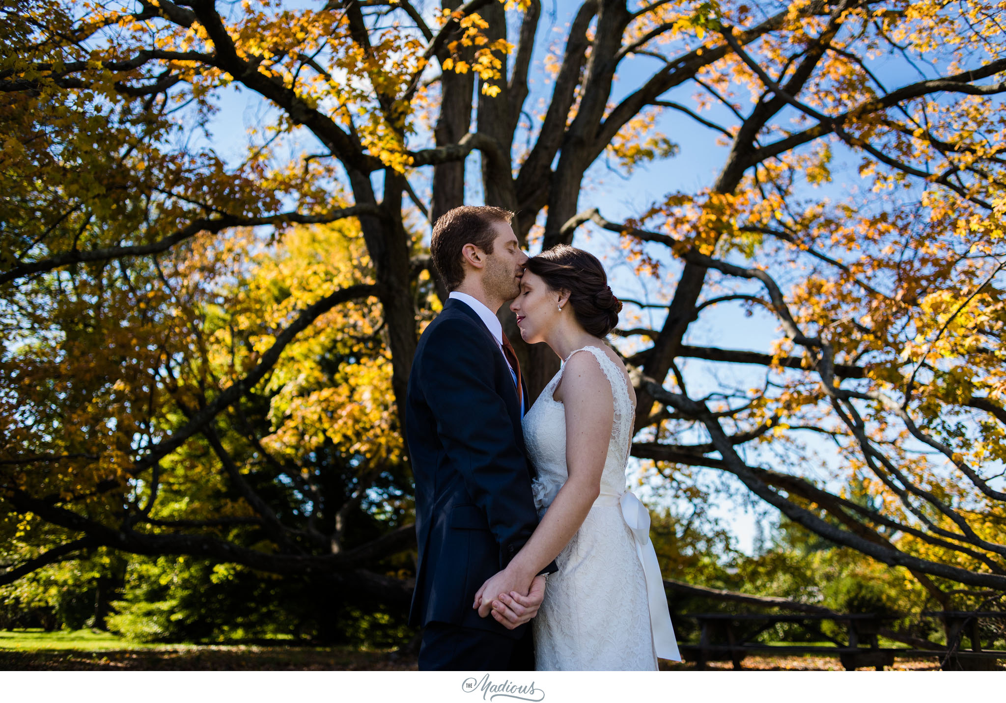 Cylburn Arboretum wedding photojournalism bride groom portraits