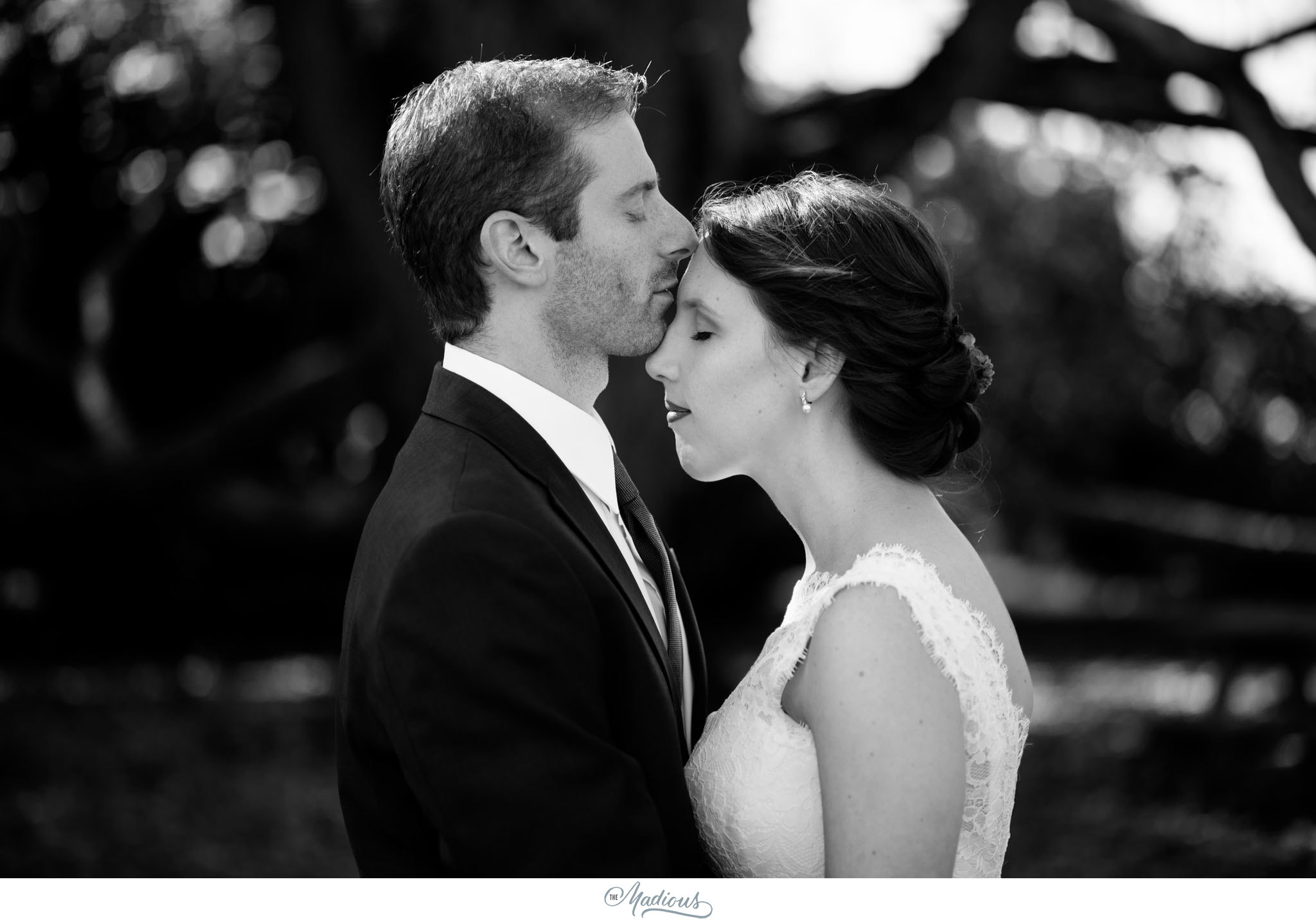 Cylburn Arboretum wedding photojournalism bride groom portraits love