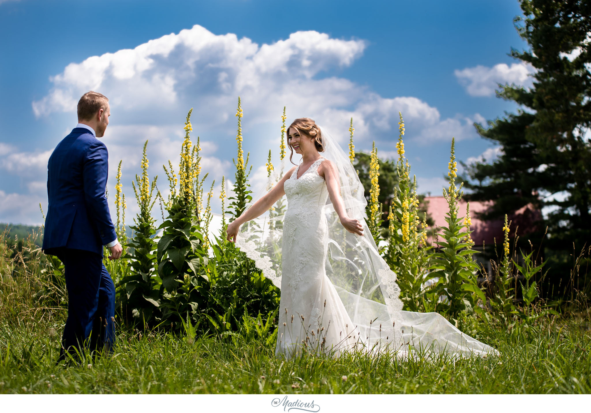 Virginia_Farm_Wedding_15.JPG