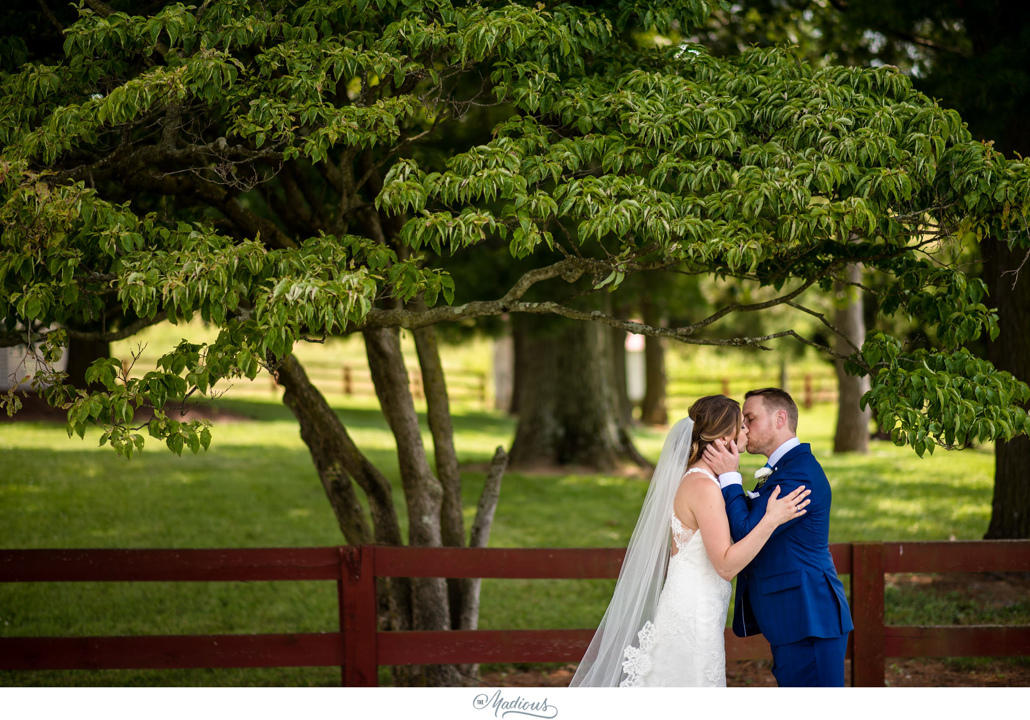 Virginia_Farm_Wedding_16.JPG