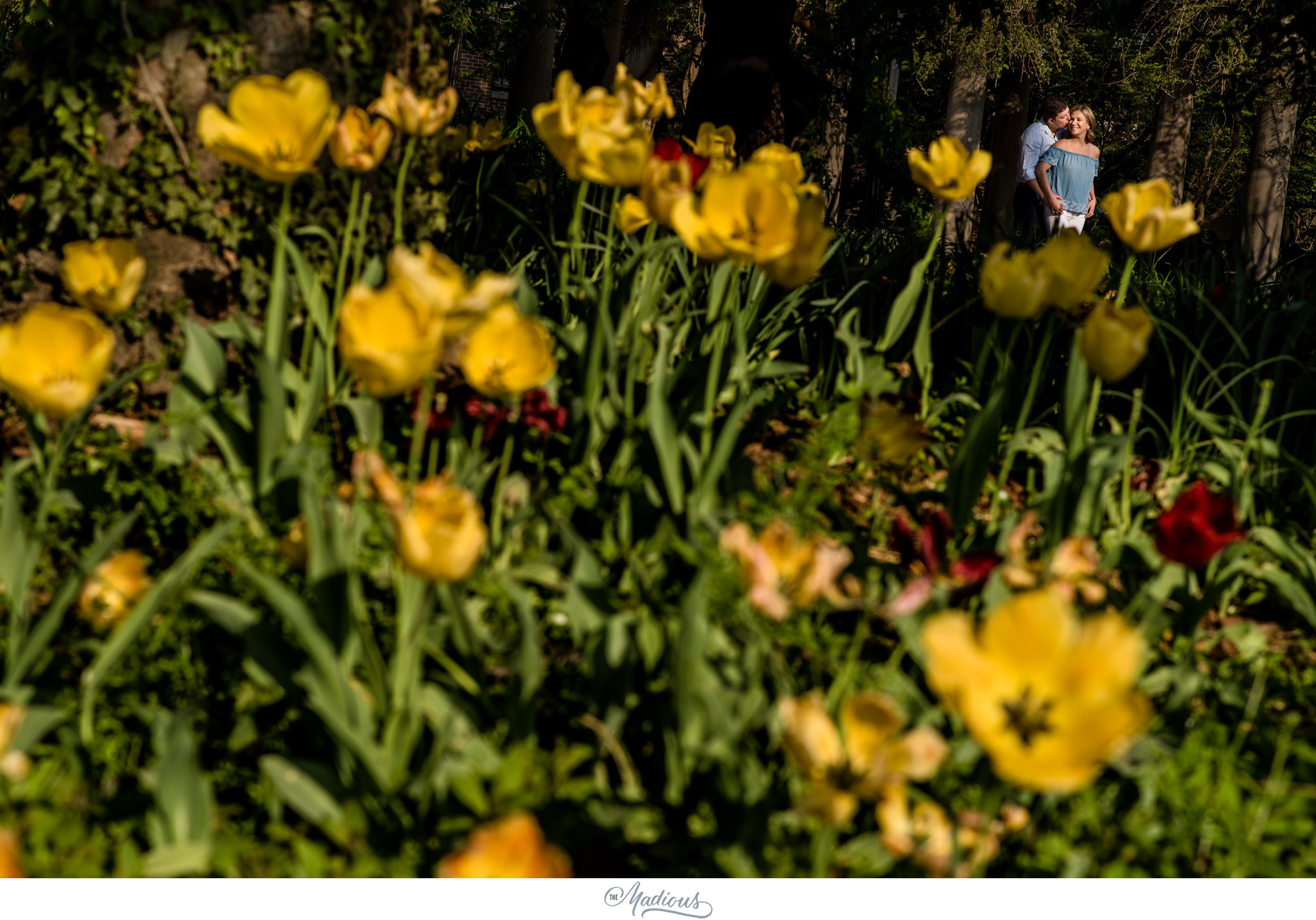 Georgetown DC Engagement session_0011.JPG