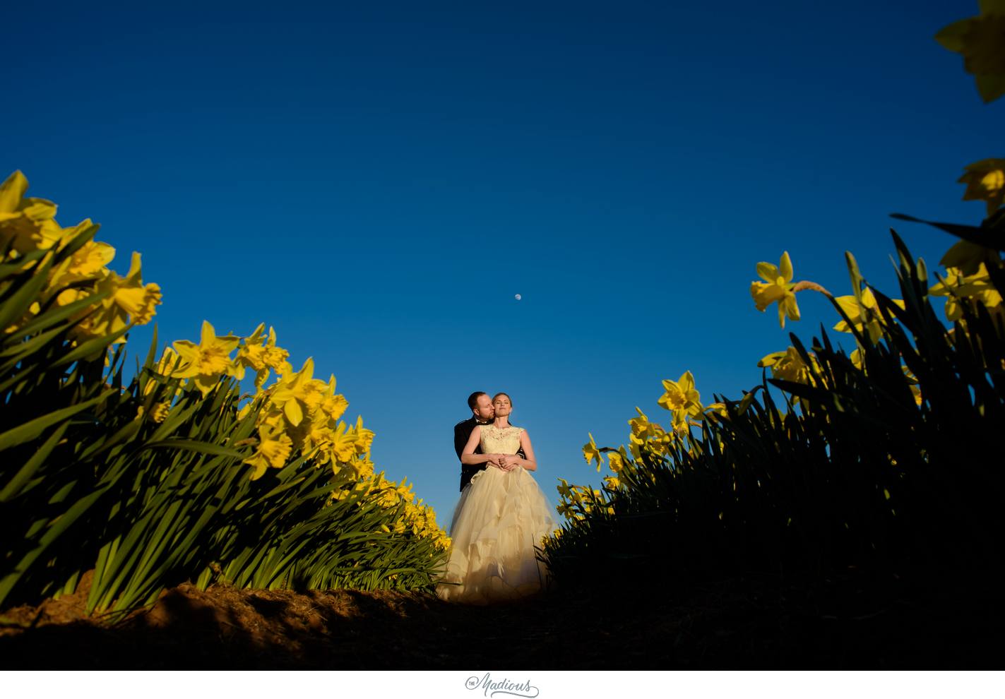 Balbegno_Dunnotar_Castle_Scottland_Wedding_56.jpg