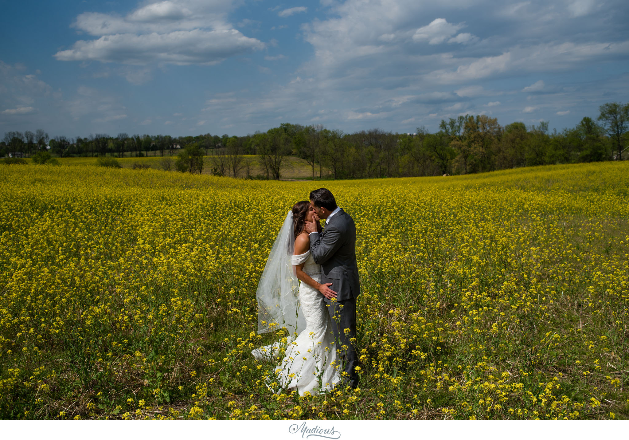 Ann Arbor Michigan Nixon Farms wedding_0029.JPG