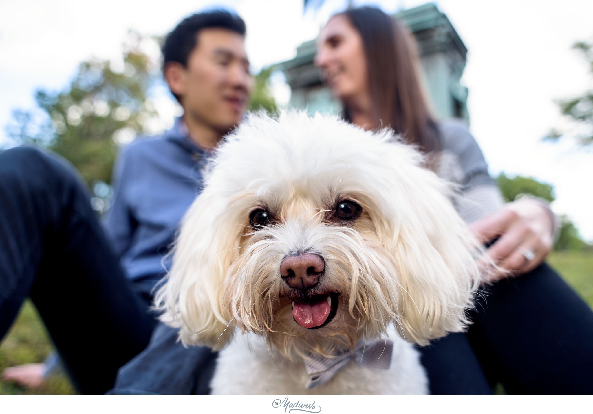 DC engagement session, Dog, Blagden Alley, Kramerbooks 0002.JPG