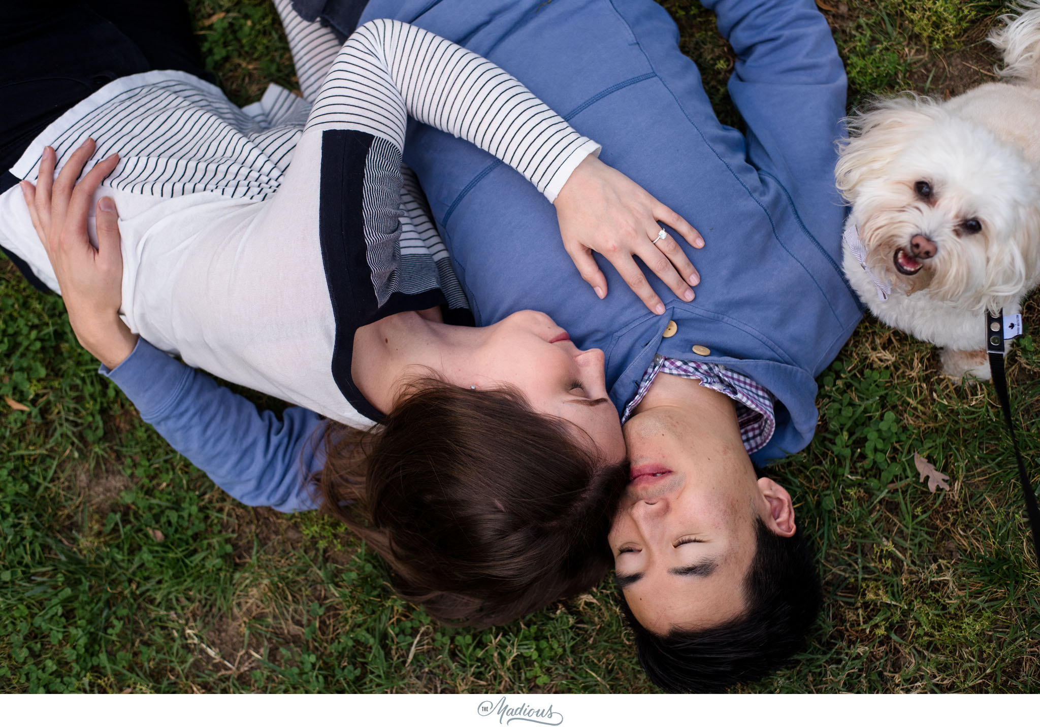 DC engagement session, Dog, Blagden Alley, Kramerbooks 0003.JPG