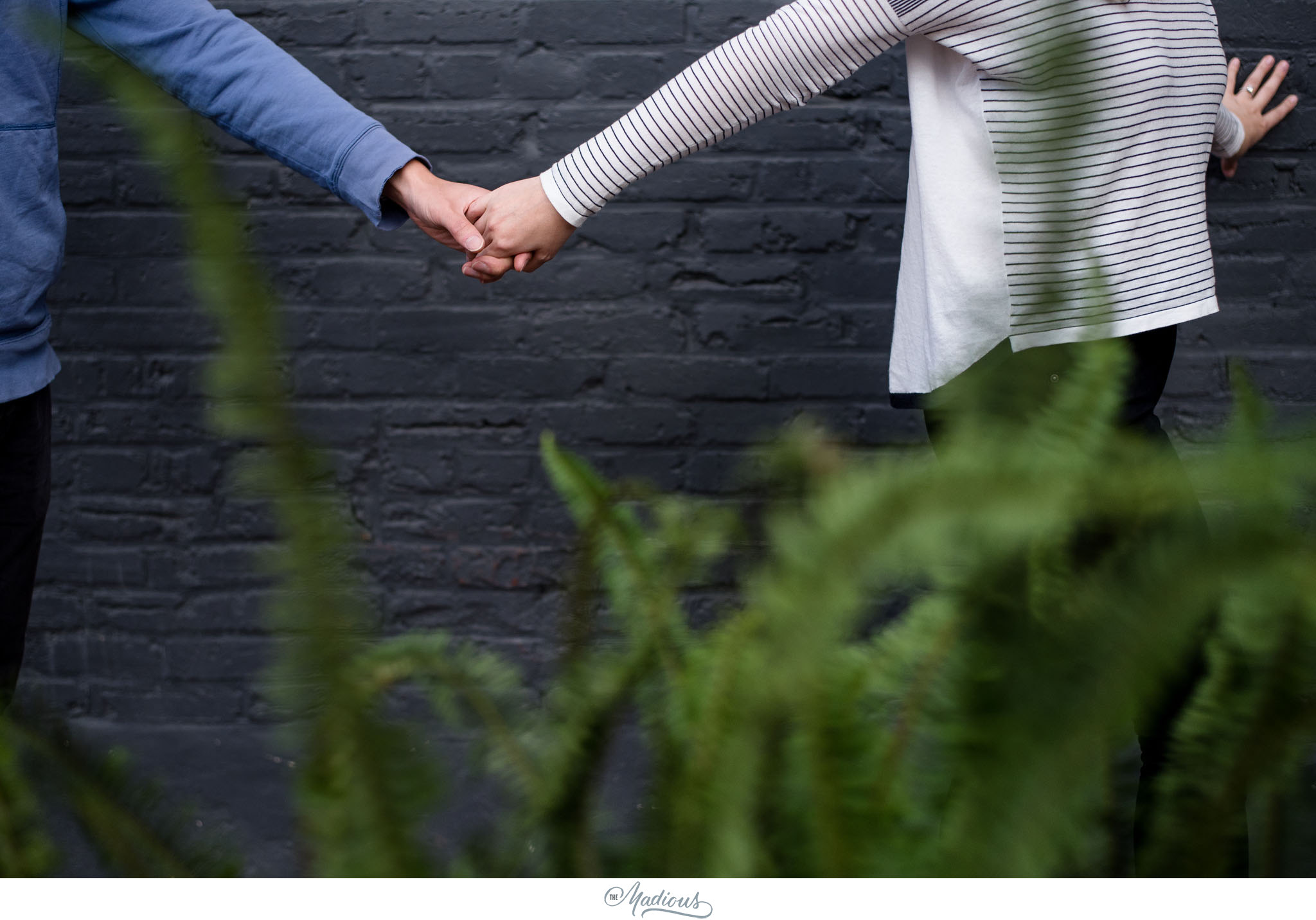 DC engagement session, Dog, Blagden Alley, Kramerbooks 0009.JPG