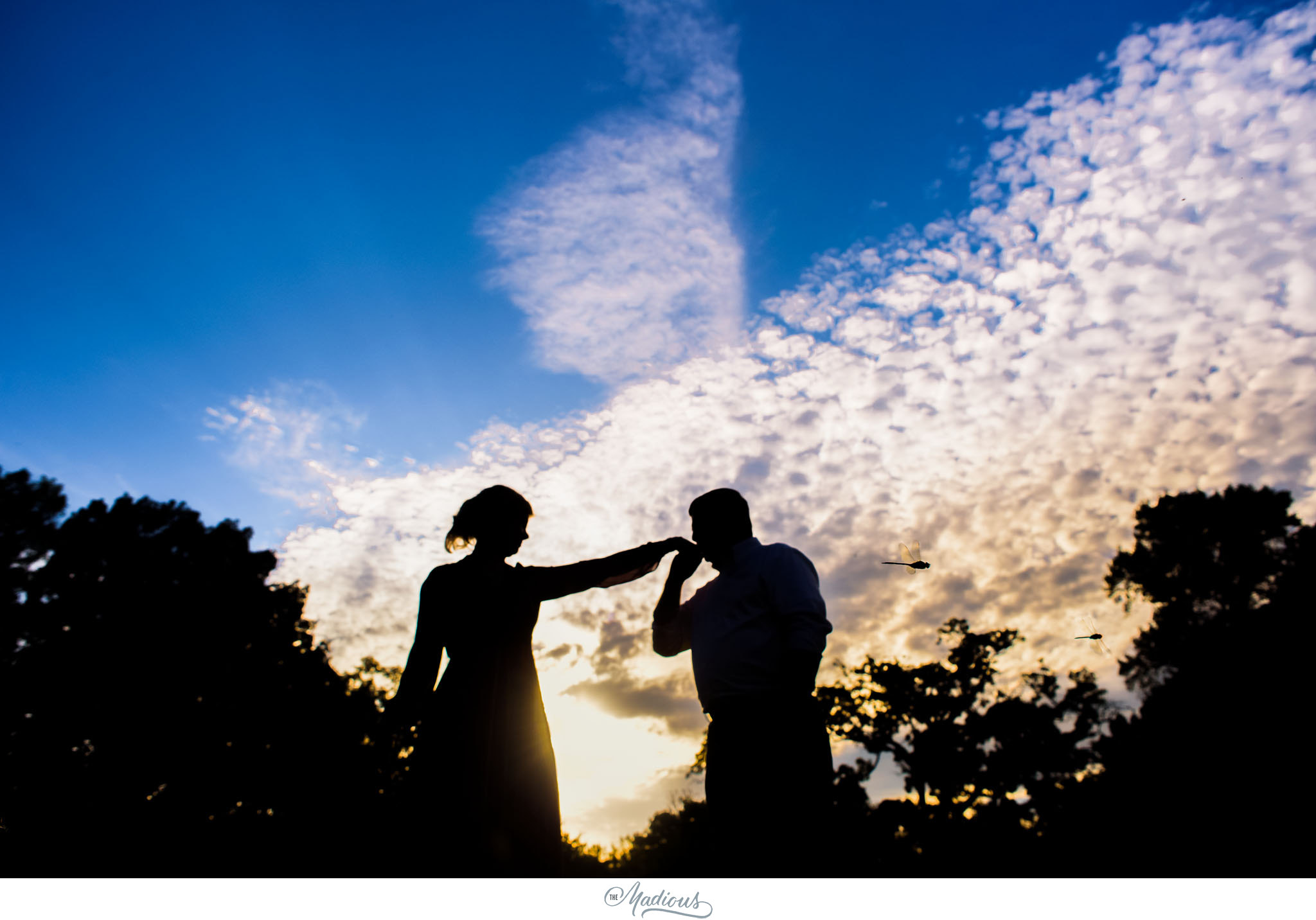 Dumbarton Oaks Park engagement, DC engagement session, 0008.JPG