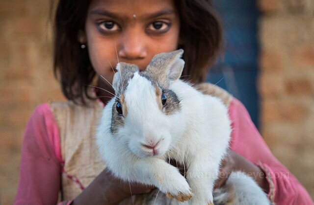 This was made wandering in Ujjain, in the central Indian state of Madhya Pradesh. She was playing in the streets with her friends and confidently demanded I make an image of her befuddled rabbit. ⠀⠀⠀⠀⠀⠀⠀⠀⠀
⠀⠀⠀⠀⠀⠀⠀⠀⠀
Most people I meet in India love t