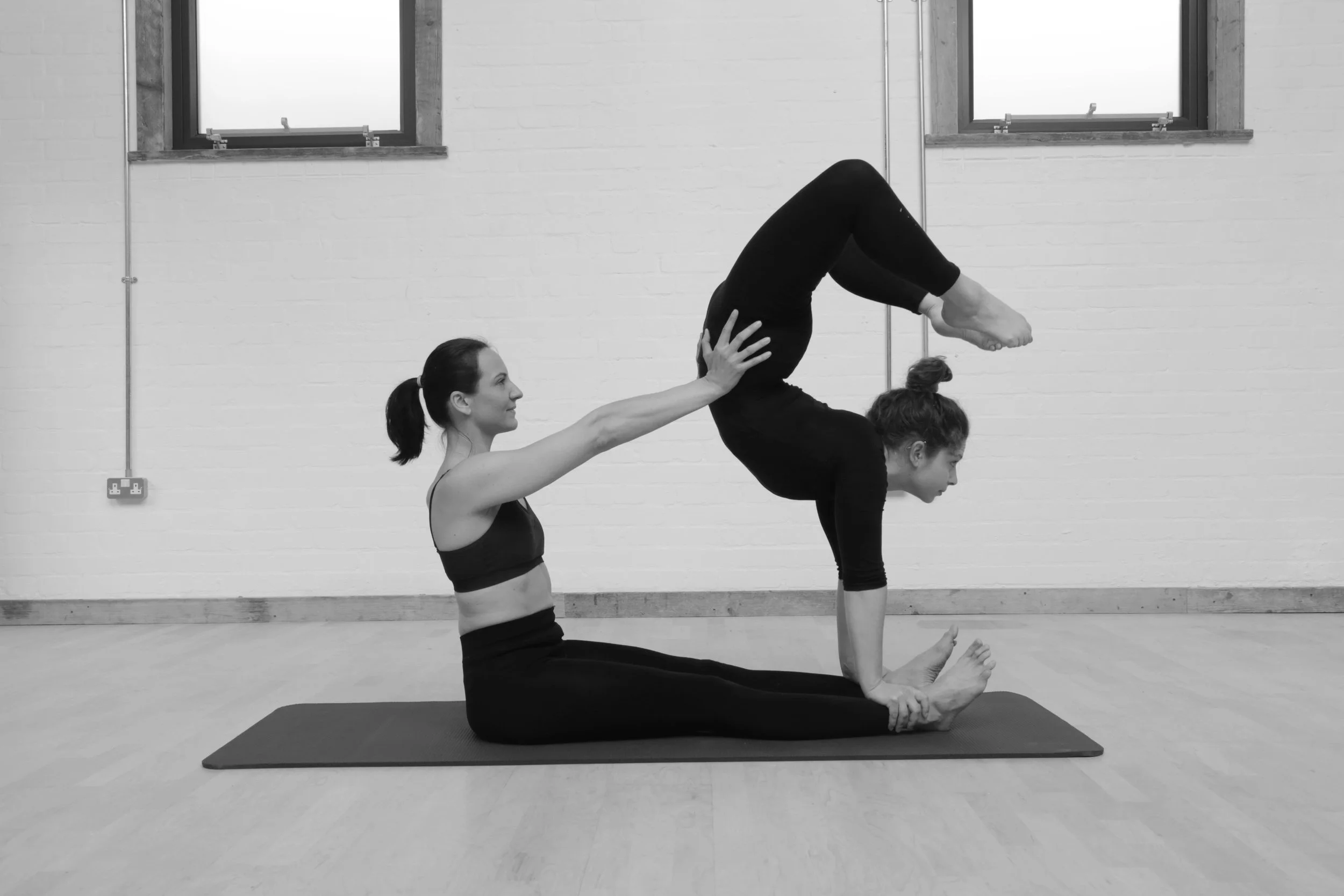 acro3 gray.jpg