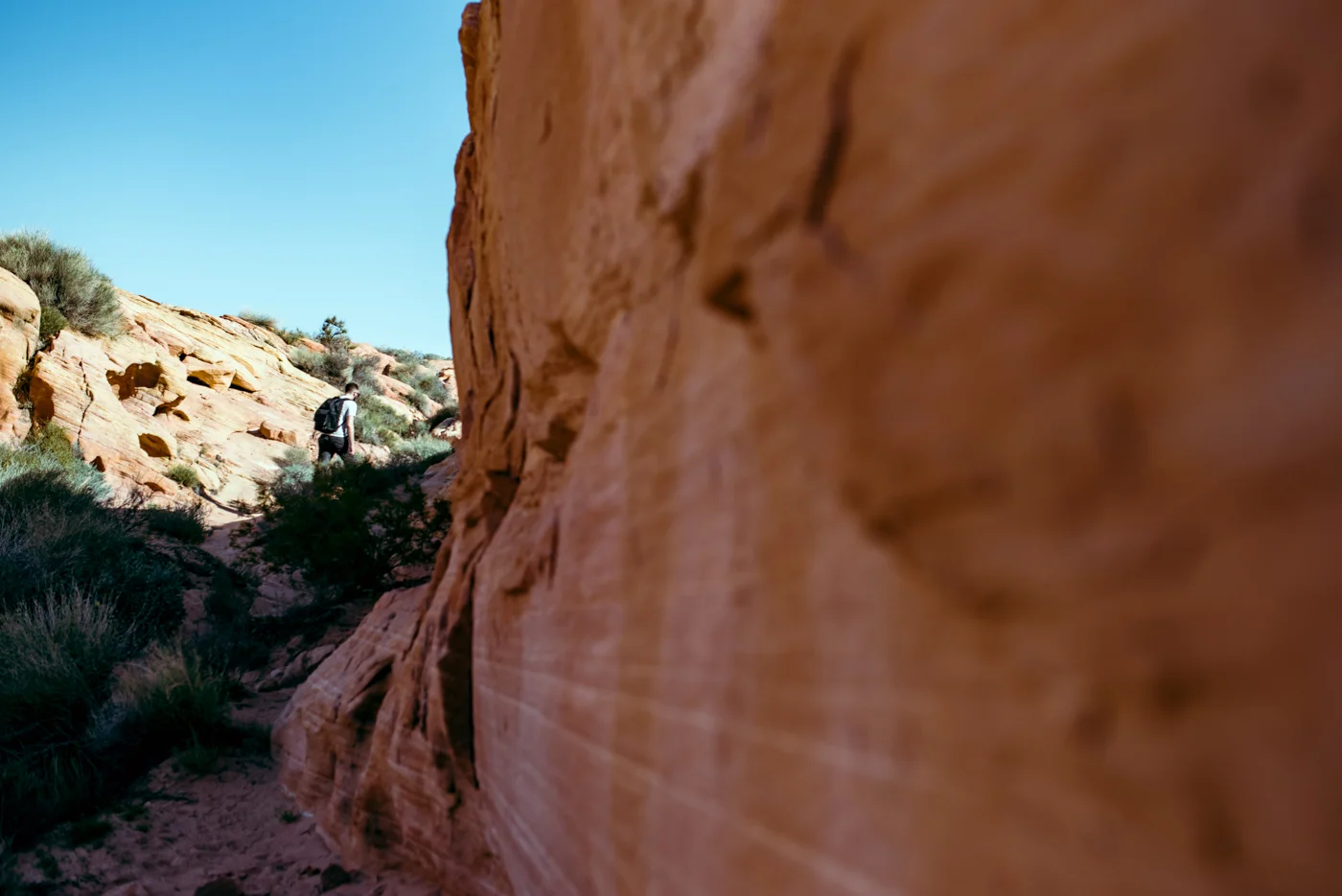 LasVegas.WPPI©mileswittboyer.com2016-17.jpg