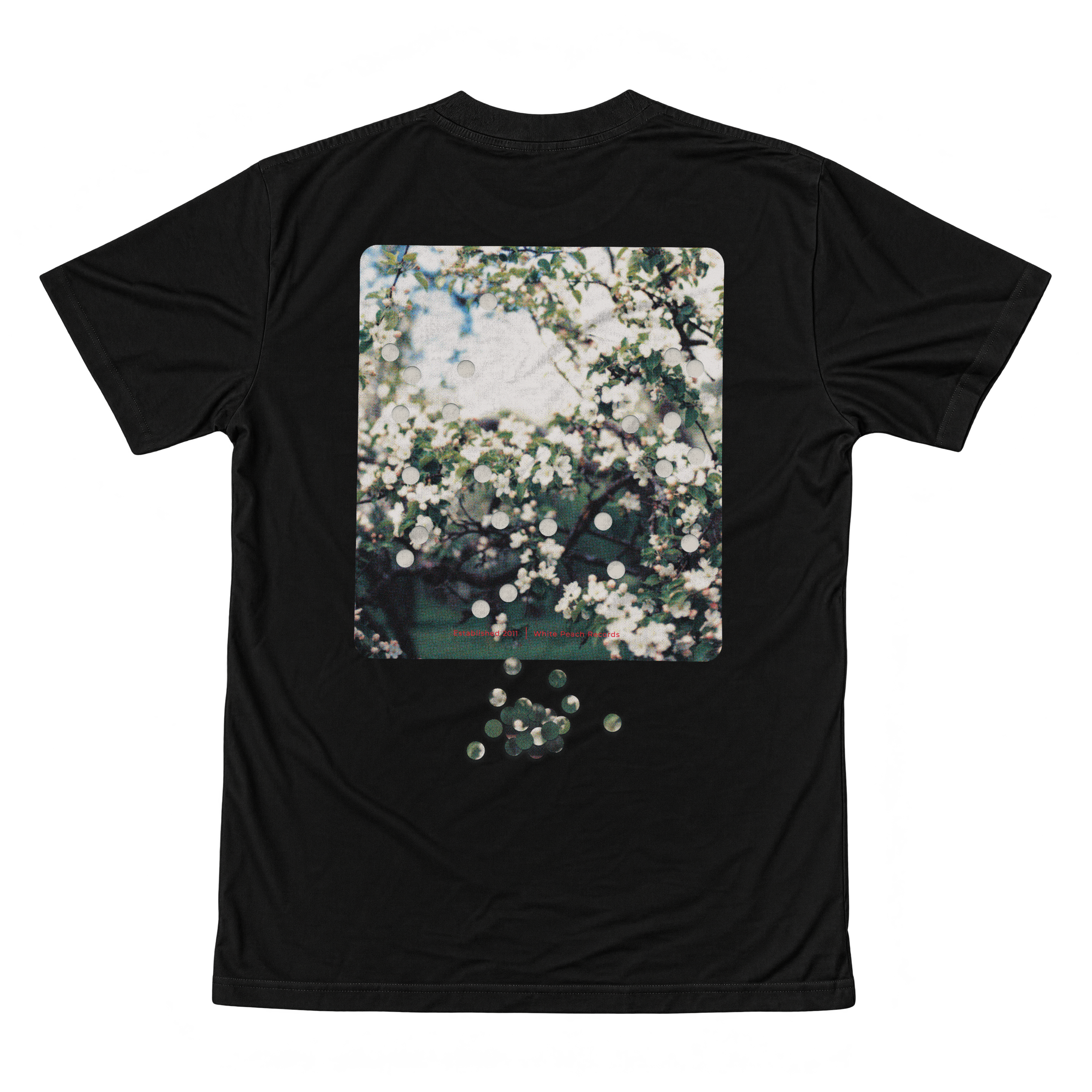 TEE4-01.png