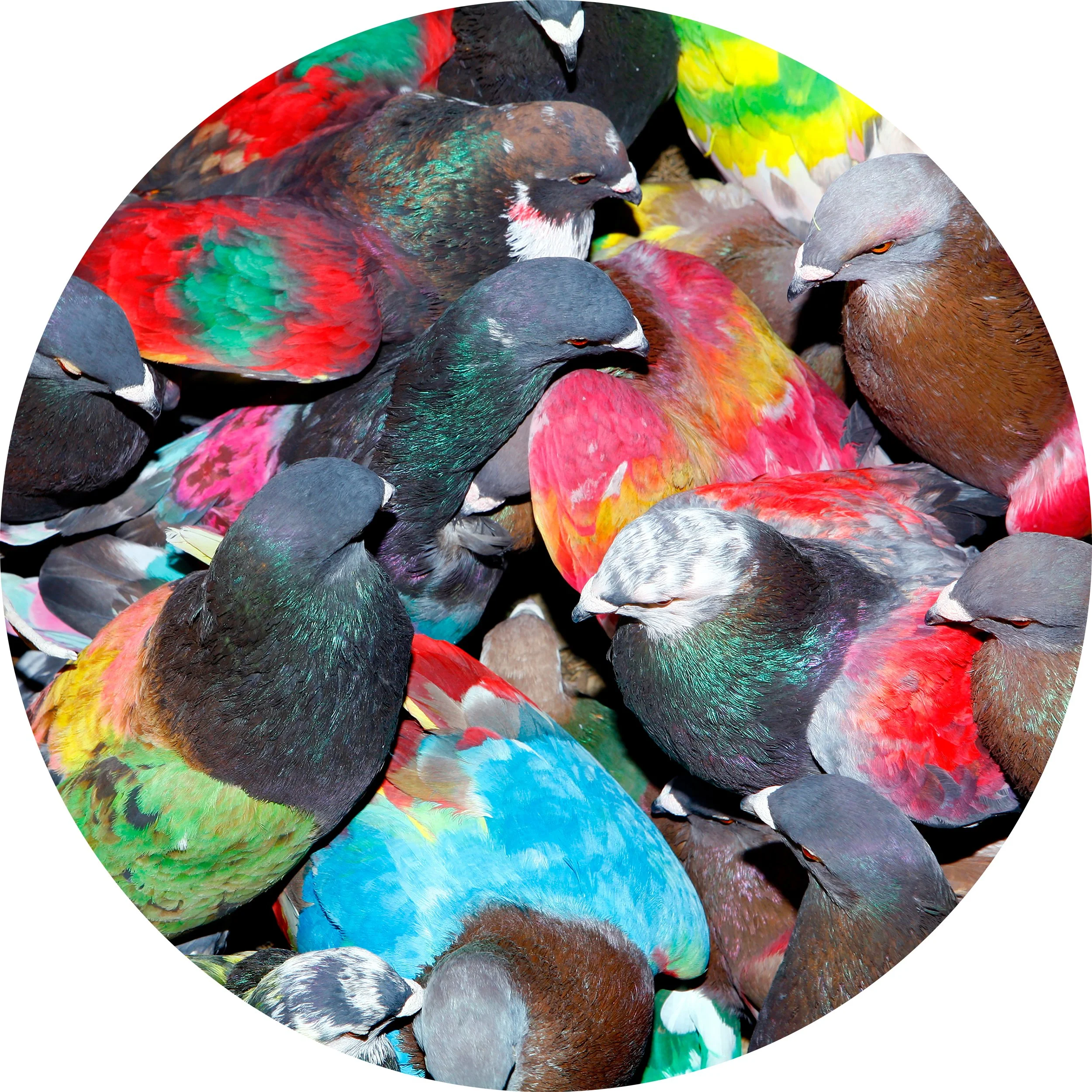 Bass Music — White Peach Records