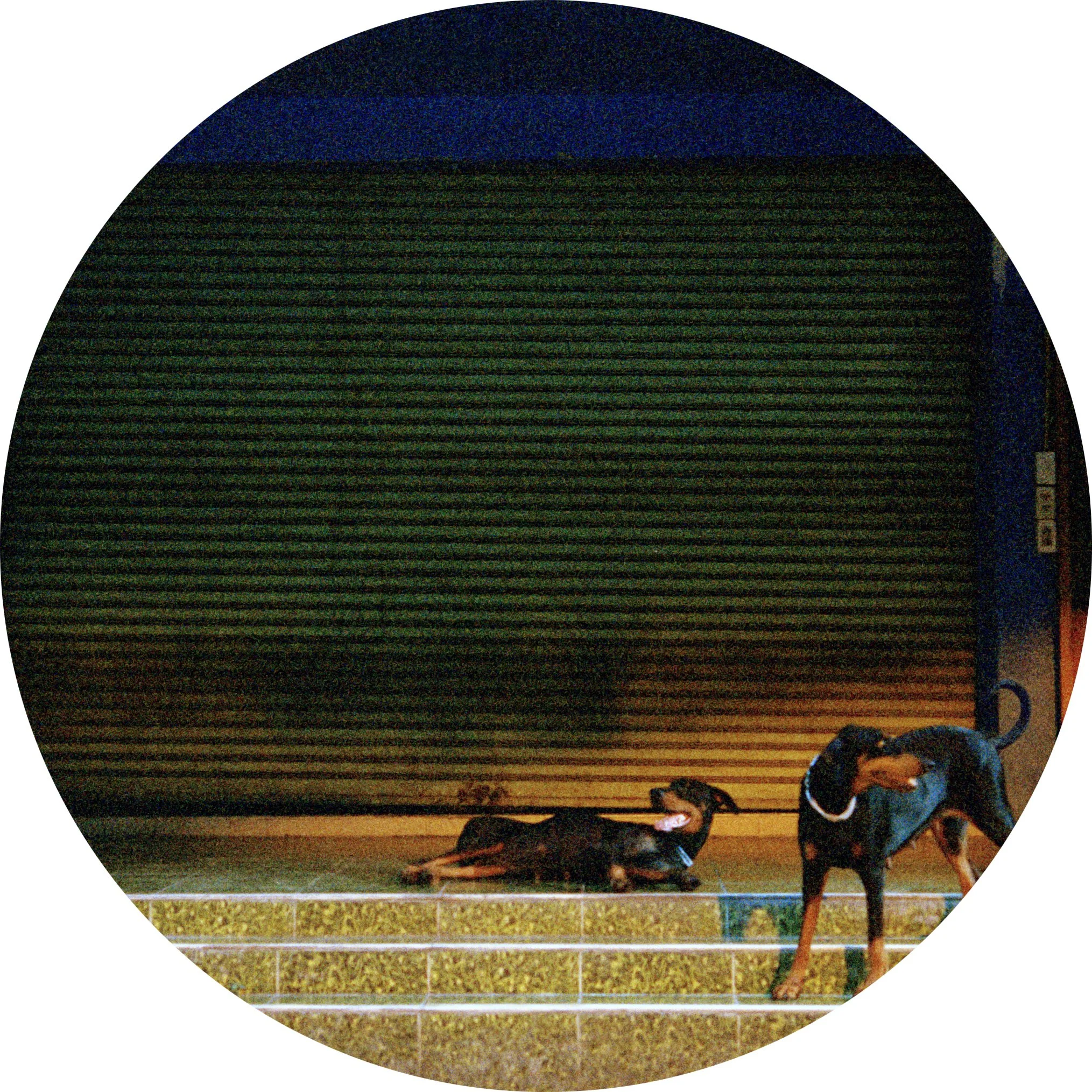 Untitled-1.jpg