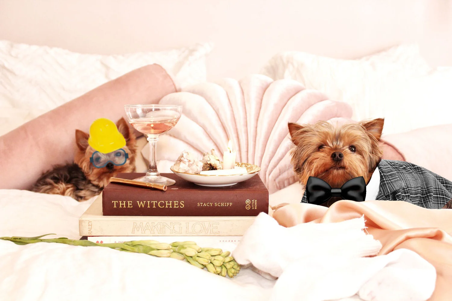 Dogs+photoshopped.jpg