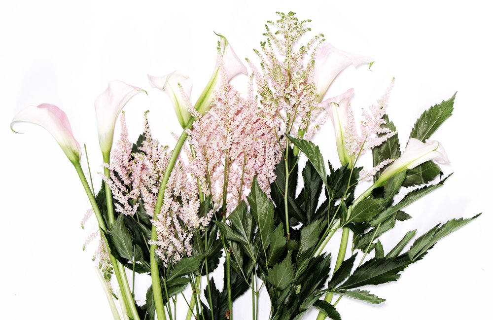 Flowers.jpg