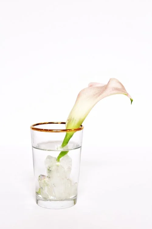 Flower+Arranging+with+Crystals (1).jpg