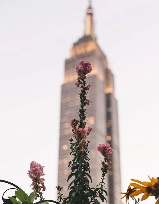 Image: APARTMENTNUMBER4.COM Via Pinterest