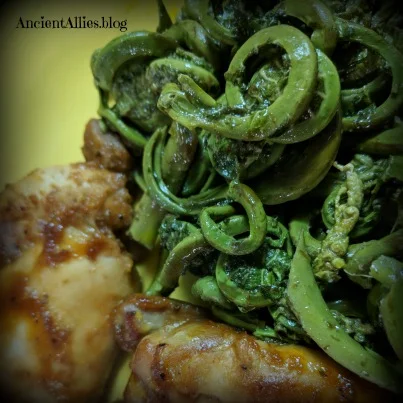 Fiddleheads 3.jpg