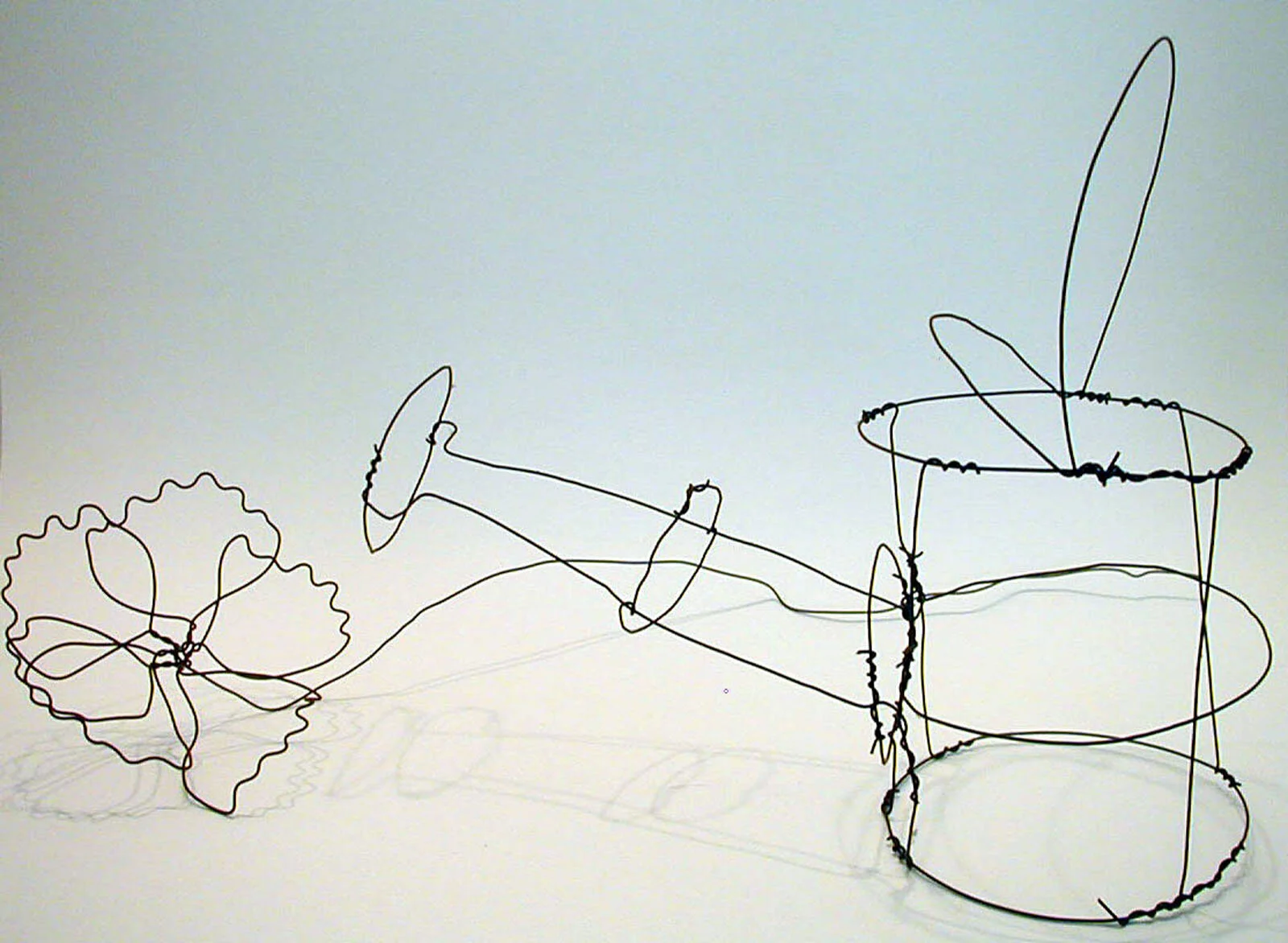 wireateringcanflower2.jpg