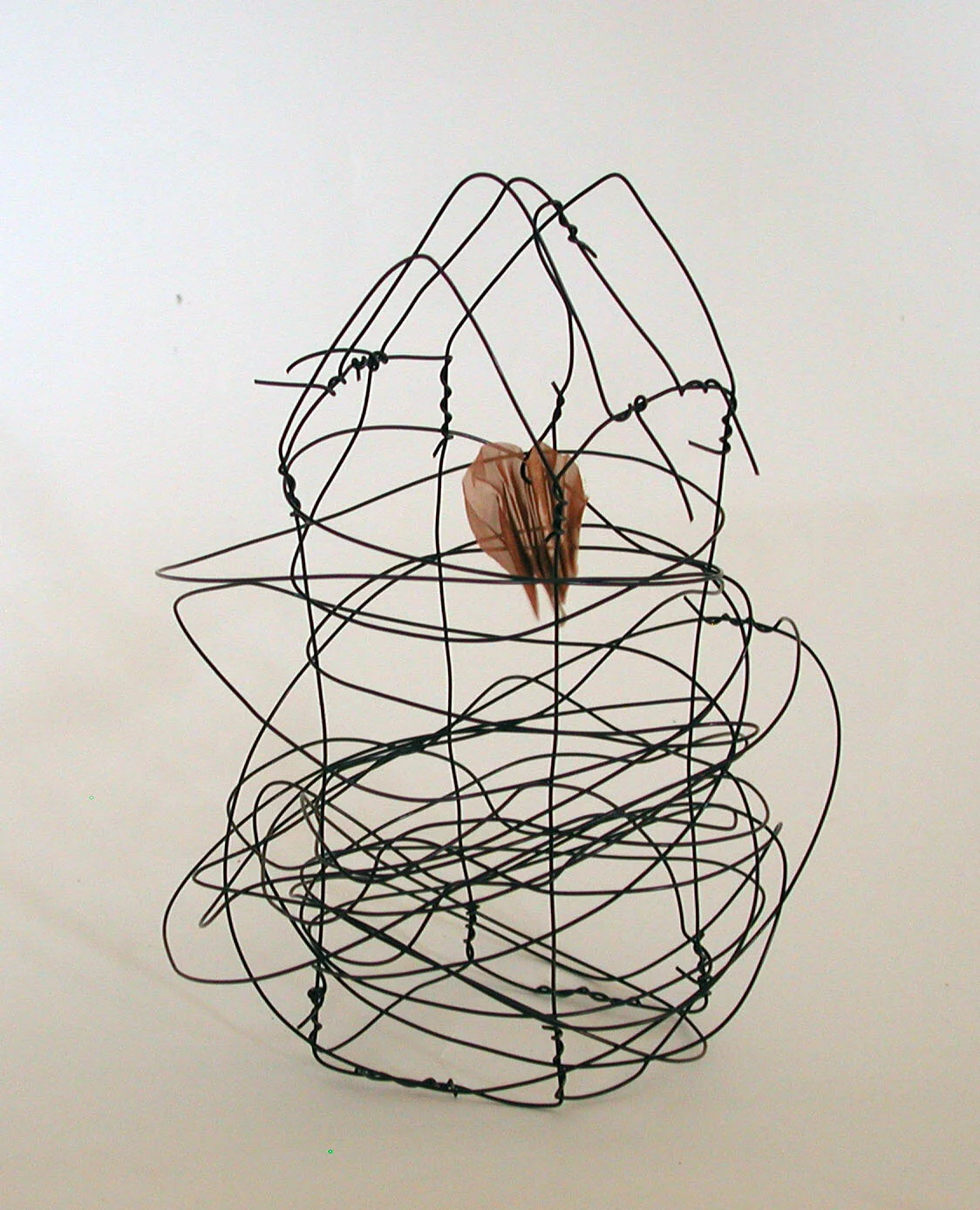 housescribblew:copprhrt2010.jpg