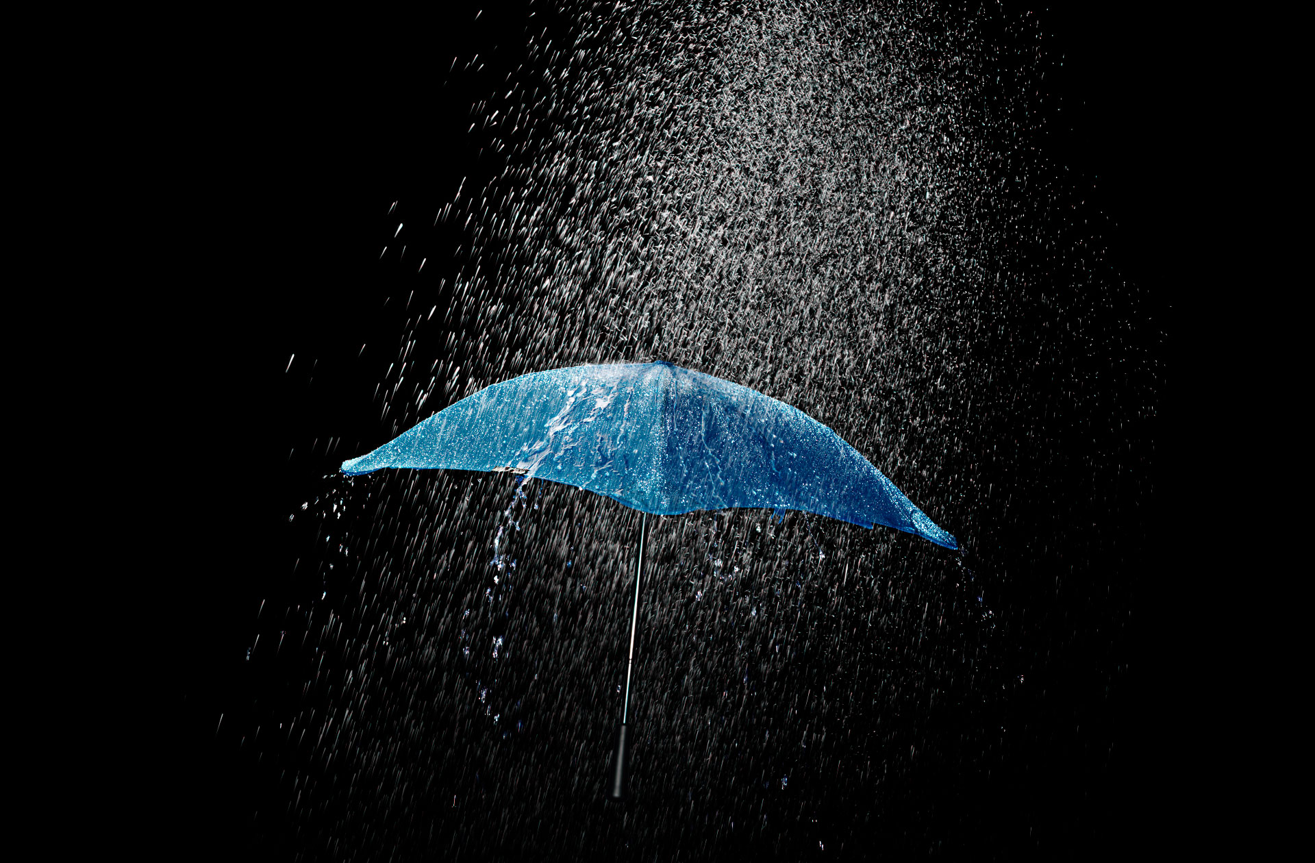 Petkov_Umbrella_A_0046_FLF.jpg