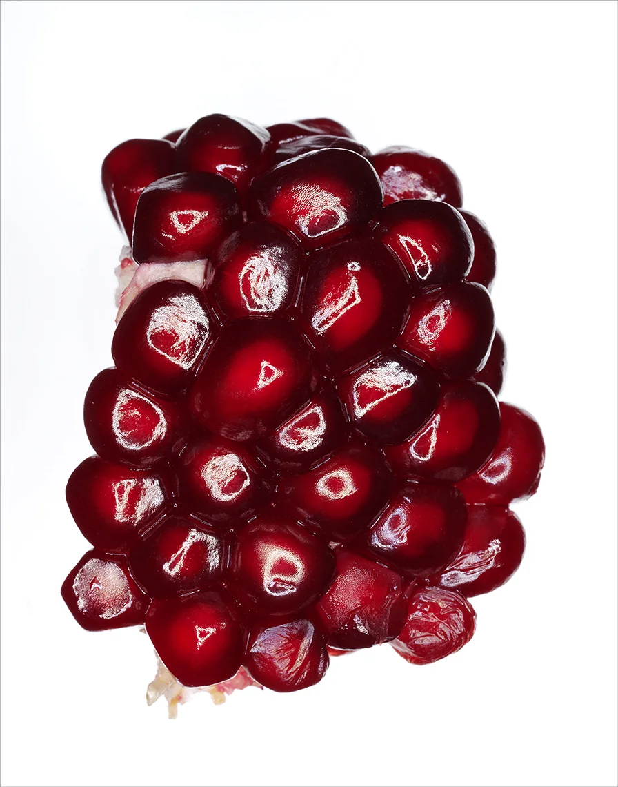 Pomegranate_FFS_11x14.jpg