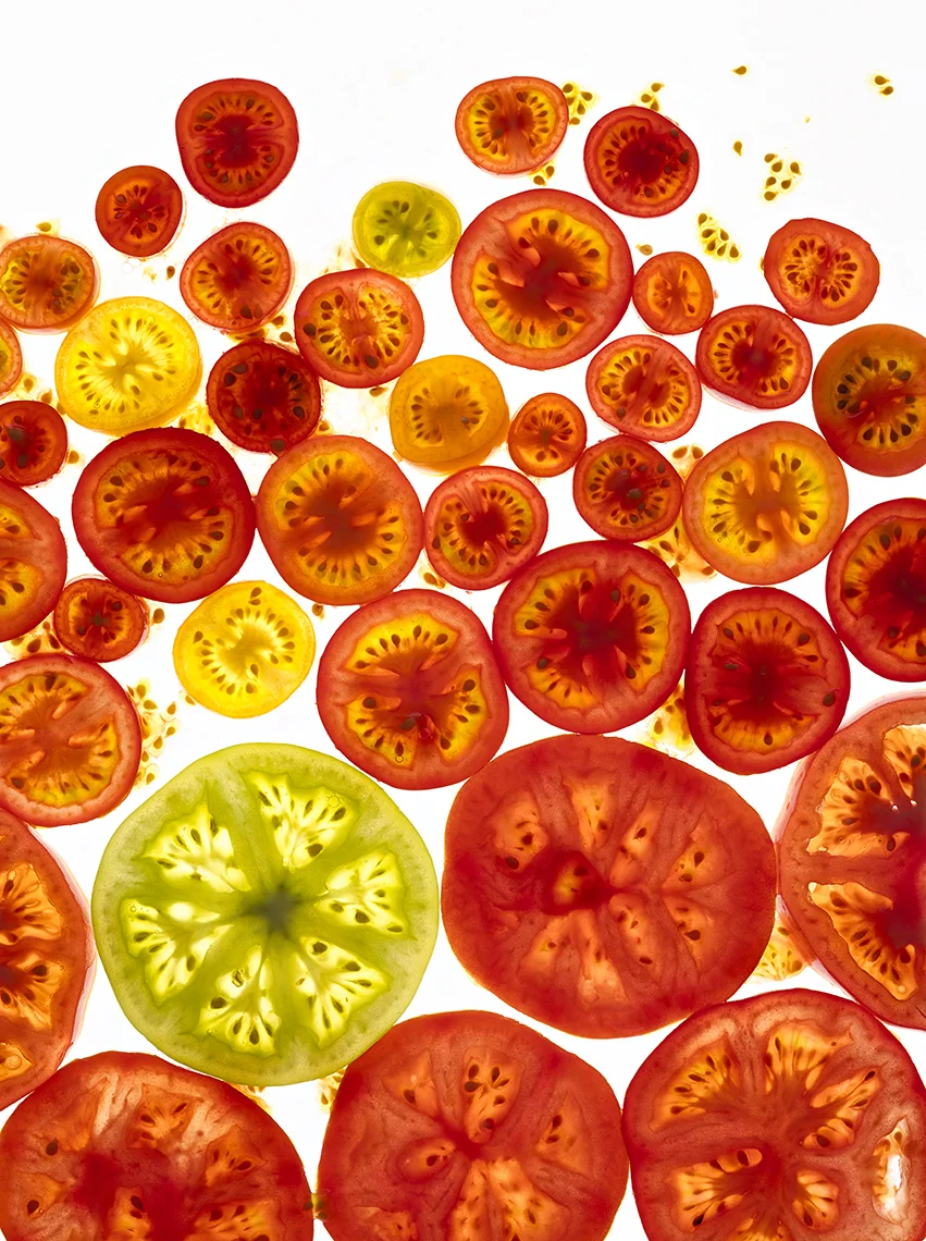 Tomato_DFH_FL_B-3-6_FF.jpg
