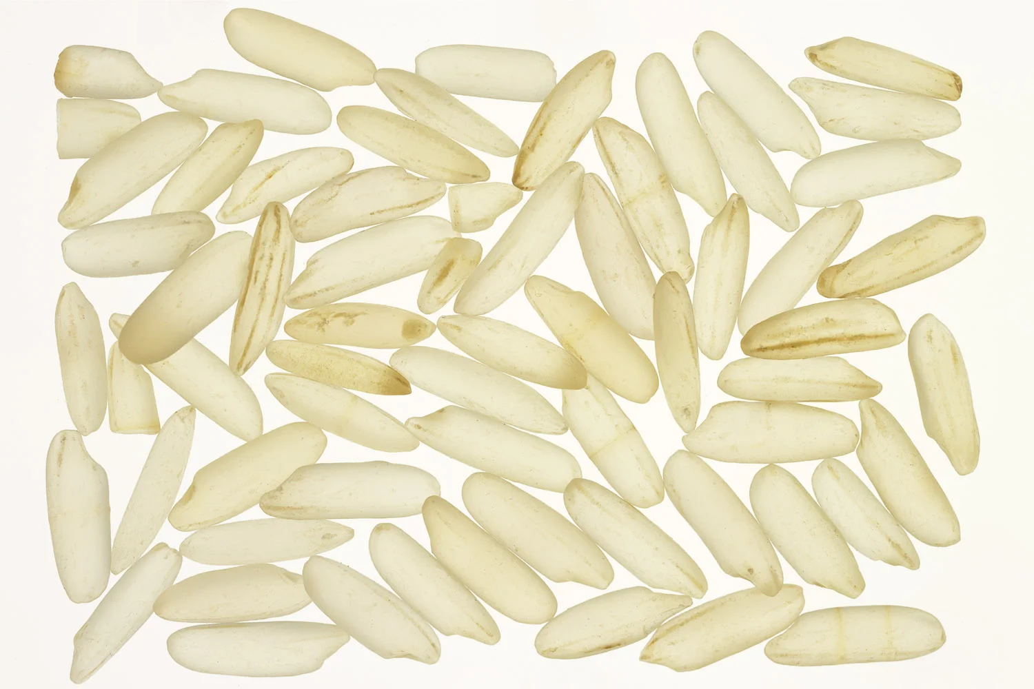 PlamenPetkov_Rice_CF_FF.jpg