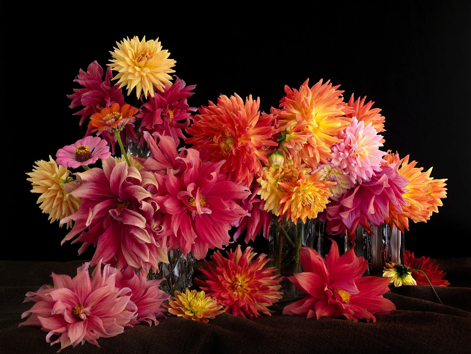 RT_Flowers_Joele_AFH1_web.jpg