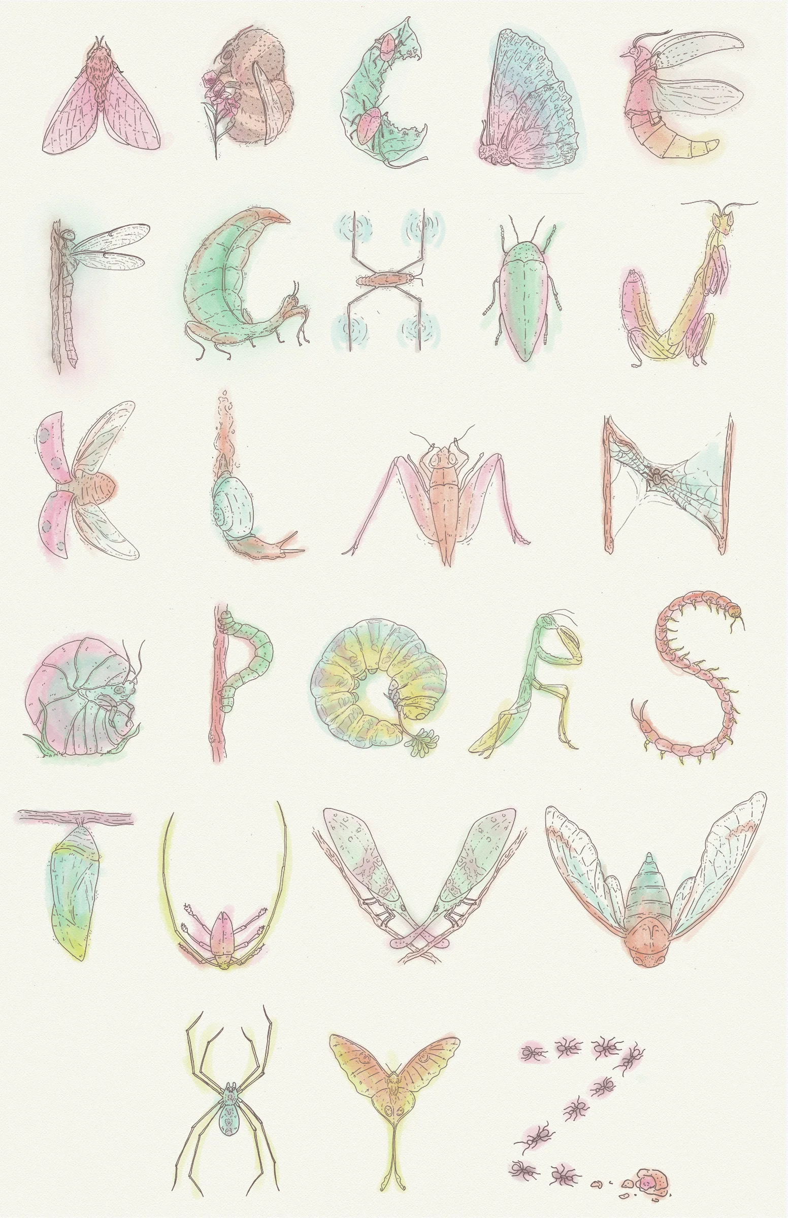 bug alphabet fixed.jpg
