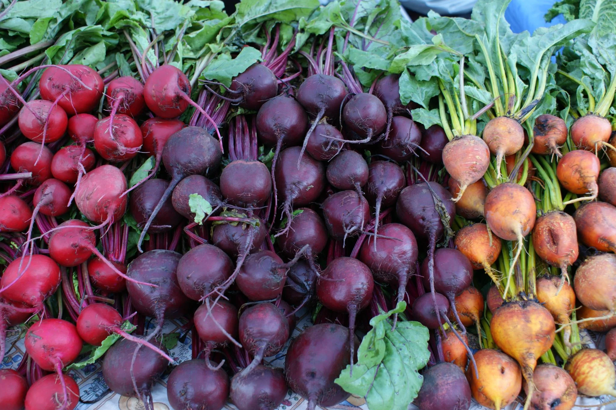 beets.jpg