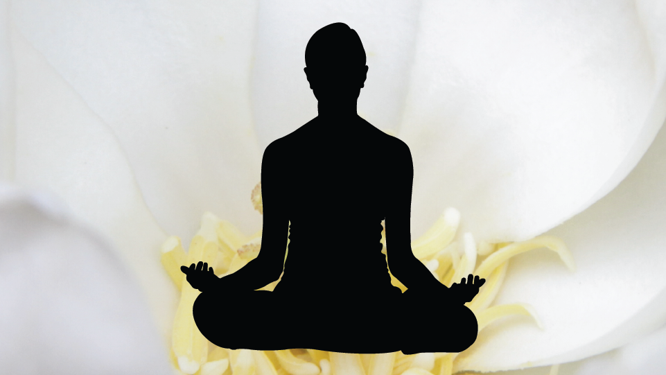 Summer Park Programs_Meditation.png