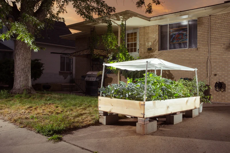 GROW_Staver_005.jpg