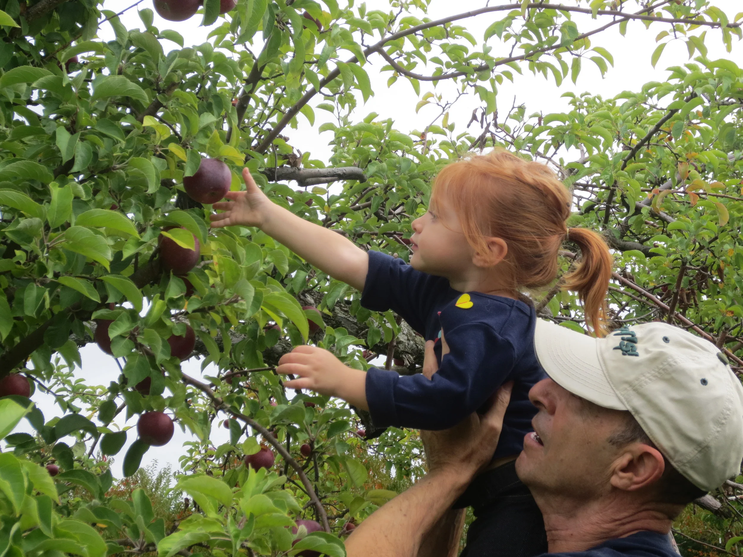 Emma & Grandpa Marty (Copy)